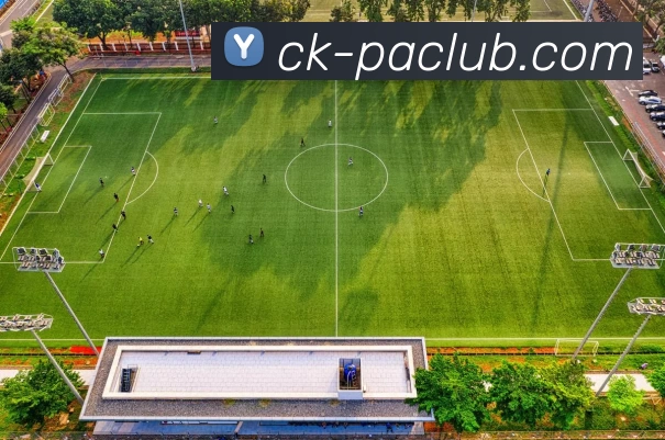 PA官方入口发展历程